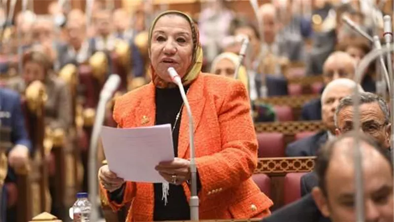 برلمانية: الدولة المصرية بذلت جهودًا كبيرة لحل أزمة القضية الفلسطينية