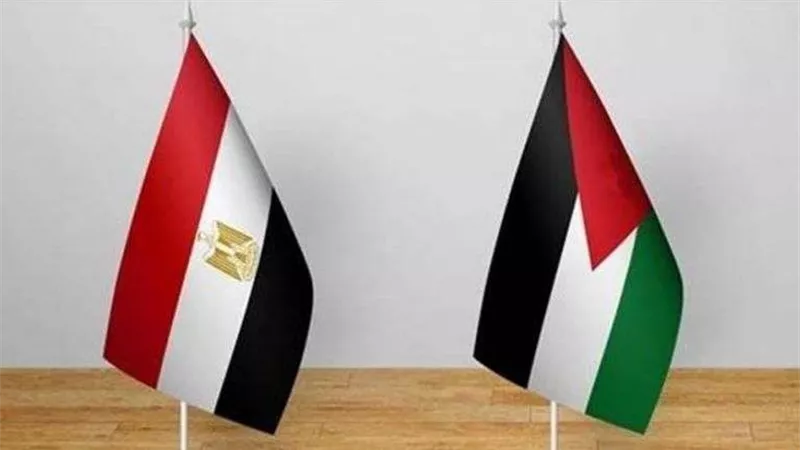 محلل سياسي فلسطيني: كلمة وزير الخارجية المصري عبرت عن الضمير العربي والإنساني.. فيديو