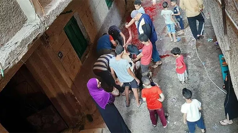 كل ما تريد معرفته عن أسعار أضاحي العيد لهذا العام