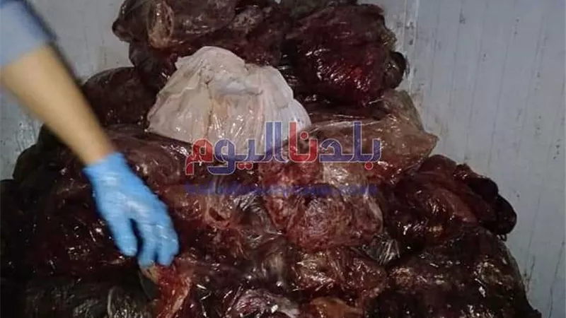 شرطة التموين تضبط  3.6  طن لحوم  وكبدة غير صالحة للإستهلاك الآدمى  بالجيزة