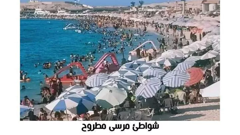 بسبب 