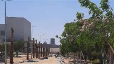 جامعة حلوان: البحث العلمي فائدته تنمية الأفكار