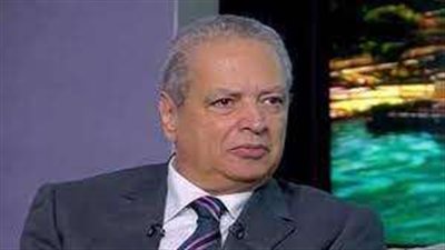 ما دور المحكمة الجنائية الدولية في أحداث غزة؟.. أستاذ علوم سياسية يوضح