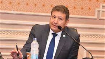 عضو مجلس النواب: استيراد المفردات للتصنيع المحلي يكلف الدولة الكثير العملة الصعبة