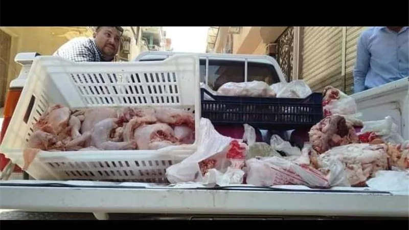 ضبط 10 طنان لحمة وكبدة مجمدة غير صالحة للاستخدام الآدمي بالقليوبية
