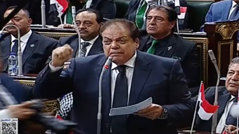 النائب محمد أبو العنين