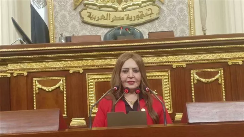 برلمانية: عملية الاستثمار هي الأمل الوحيد الذي نعيش عليه في الفترة القادمة