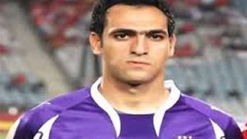 أمير عبد الحميد 