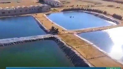 محمد الشاذلي: الدولة المصرية حققت التنمية والتعمير بسيناء تزامنا مع القضاء على الإرهاب