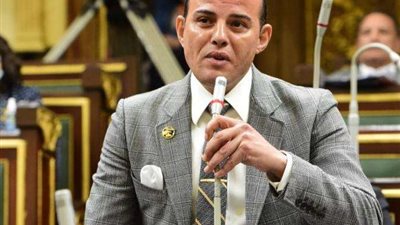 «اقتصادية النواب»: الدولة عازمة على أن تصل سيناء بالدلتا والصعيد عبر المشروعات التنموية