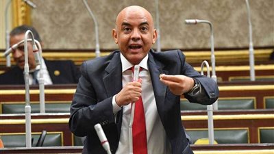 برلماني: الدوله المصرية تؤكد نجاحها وقدرتها على تخطي الصعاب