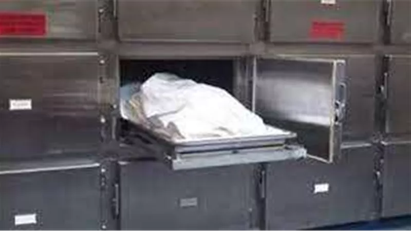 مقتل جزار على يد شقيقين بسلاح أبيض في المنوفية