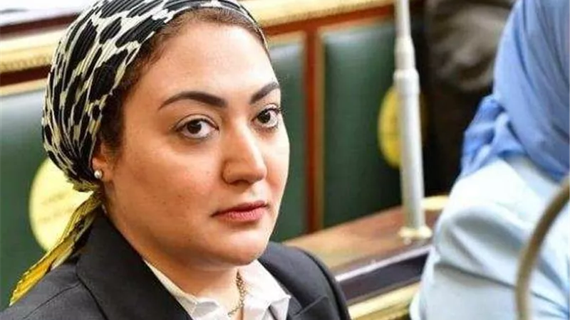 برلمانيه: جميع المصريين يقفون على قلب رجل واحد للحفاظ على الأمن القومي