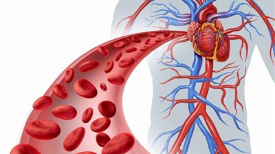 تعرف على مرض الشريان الأورطي وطرق علاجه