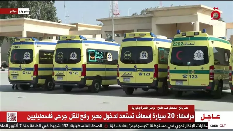 استمرار وصول الدفعات المُتتالية من مزدوجي الجنسيات إلى مصر