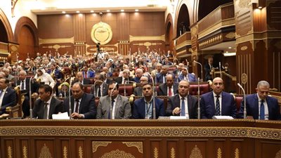 الأحد.. الشيوخ يناقش دراسة التنمية الاقتصادية بين مصادر الطاقة والحد من مشكلات البيئة