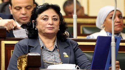 برلمانية تطالب وزير الكهرباء بفرض امتيازات للعمل بالطاقة الشمسية