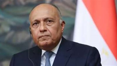 عاجل| وزير الخارجية: الحديث عن مستقبل غزة سابق لأوانه ويجب توقف الحرب فورا دون شرط