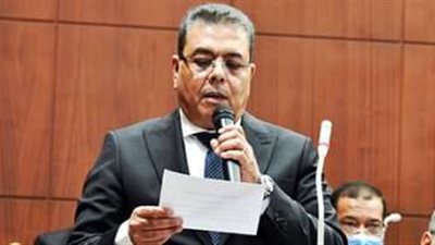 محمود منصور: اهتمام الدولة بصناعة الأسمدة الكربونية والكيماوية يحقق صادرات بمليارات الدولارات