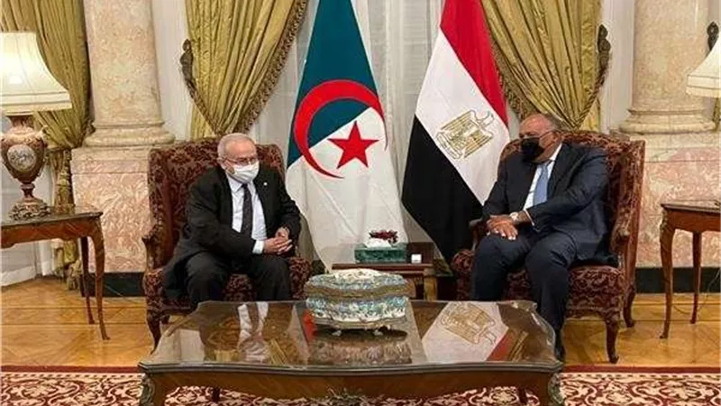 وزير الخارجية يجري مباحثات مع نظيره الجزائري حول القضايا المشتركة