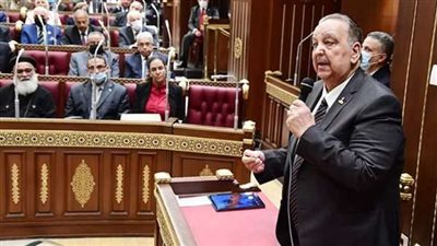 دعبس: فرض الضريبة على سوق الكربون سوف تؤثر على ارتفاع أسعار بعض المنتجات