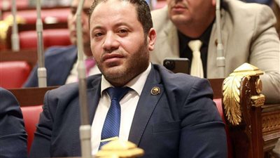 مصطفي سالمان: الدولة المصرية توجهت نحو الاهتمام بمصانع السماد