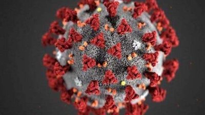 إصابة السيناتور الأمريكي ليندسي غراهام بكورونا