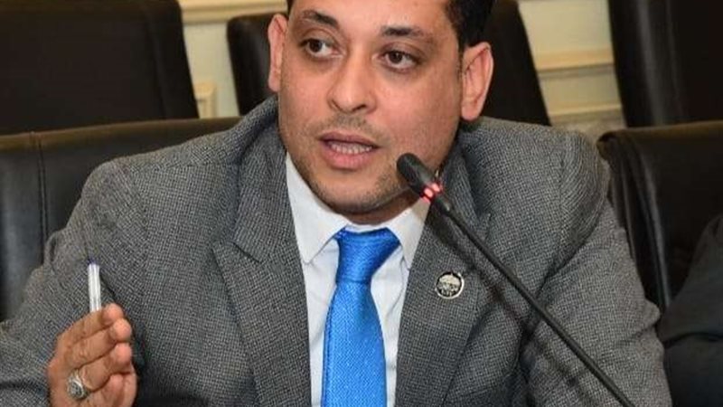 النائب نشأت العمده