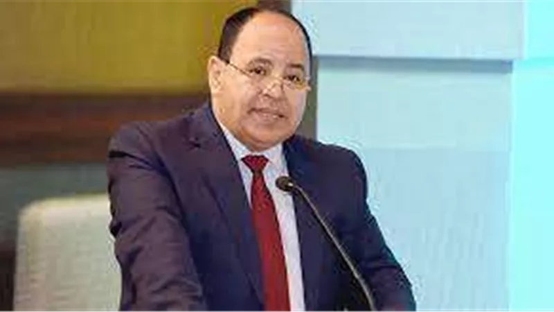 «كوجك»: الحكومة تعتزم السير نحو إصلاحات اقتصادية لمواجهة الأزمات العالمية