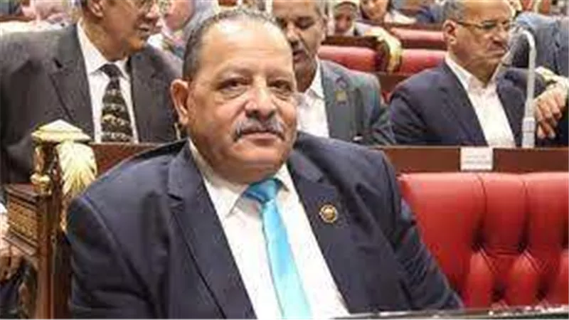 برلماني: القصف الجنوني لقطاع غزة لا يضرها فقط