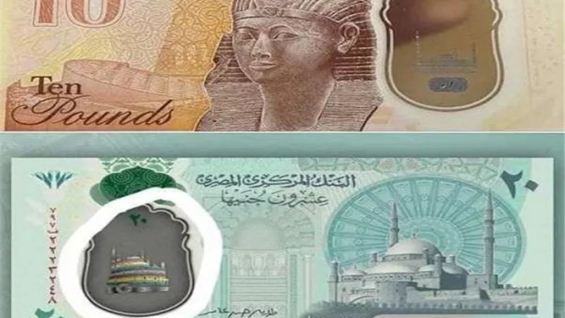 تحمل ألوان علم 