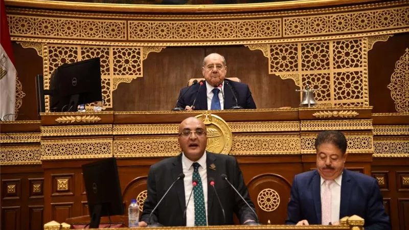 رئيس مجلس الشيوخ يرفع أعمال الجلسة العامة ويقرر عقدها غداً