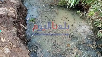 مصرع طفل داخل مصرف في مغاغة بالمنيا