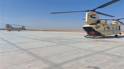 مصر ترسل مساعدات طبية وأدوية لتونس