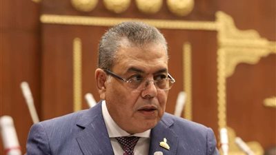 عمرو عكاشة يقترح إعفاء مستلزمات الإنتاج صديقة البيئة المستوردة من الجمارك