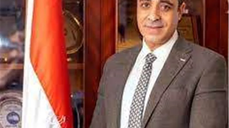 أحمد حماد: يجب العمل على زيادة وتنوع مصادر الطاقة في مصر