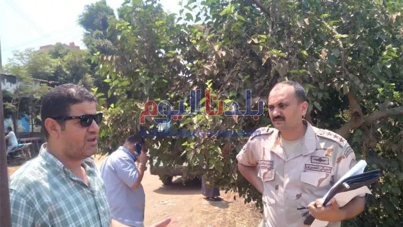 تعرف على إنجازات 