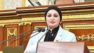 وكيل قوى عاملة النواب: الرئيس السيسي الداعم الأكبر للقضية الفلسطينية