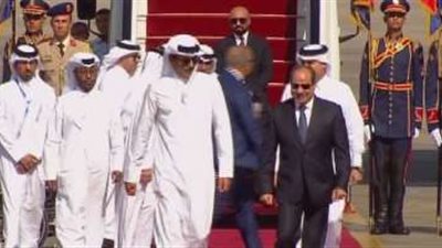 جلسة مباحثات للرئيس السيسي وأمير قطر.. وتوافق على التنسيق بكافة المستويات