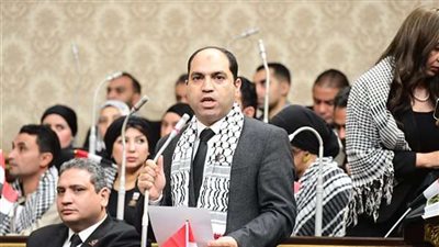 نائب التنسيقية: تخفيض تكاليف الدعاية الانتخابية للرئيس السيسي جاء دعمًا للقضية الفلسطينية