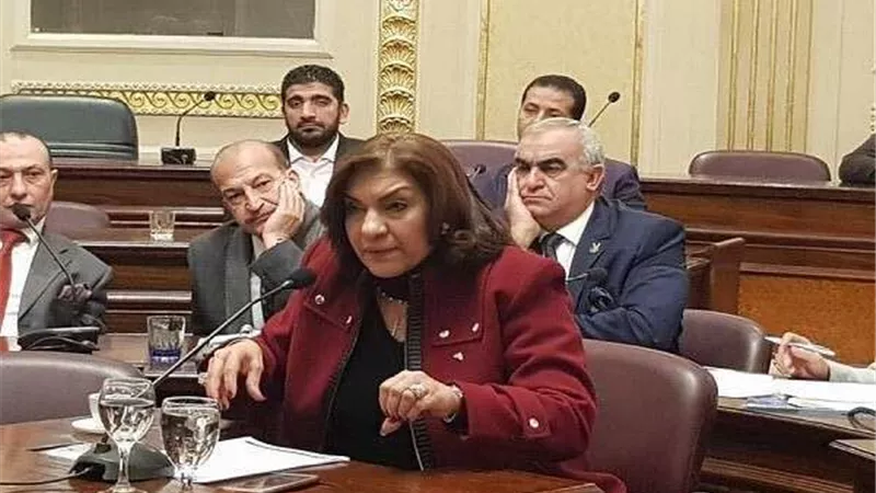 لتجنب حوادث الطرق.. إيفلين متي تتقدم بطلب إحاطة لوزير النقل لاستكمال رصف طريق عزبة البرج بدمياط