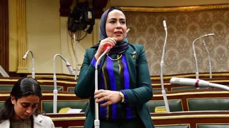 النائبة سارة النحاس،