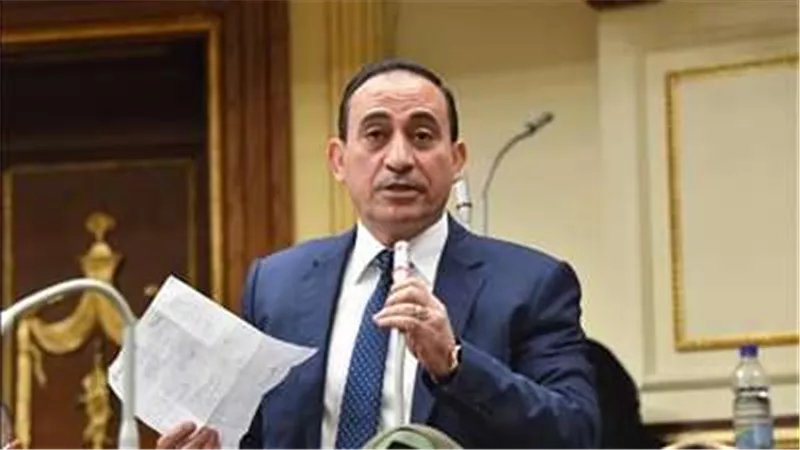 قيادي مستقبل وطن يشيد بمحورية التحالف الوطني في أرسال المساعدات لغزة