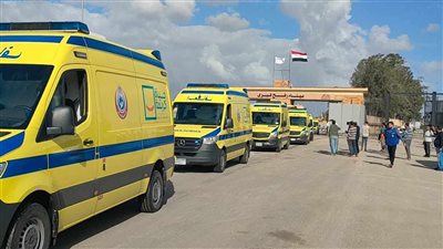 وزير الصحة ومحافظ شمال سيناء يرافقان أطفال غزة الخدج لمستشفى العريش