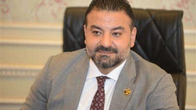 محمد سلطان: قافلة صندوق تحيا مصر للمساعدات الإنسانية للشعب الفلسطيني انتصارا للإنسانية