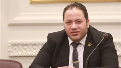مصطفى سالمان: لقاء الرئيس السيسي ورئيسة مفوضية الاتحاد الأوروبي دليل على موقف مصر الثابت لدعم القضية الفلسطينية