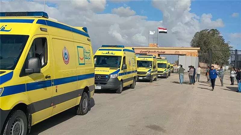 وزير الصحة ومحافظ شمال سيناء يرافقان أطفال غزة الخدج لمستشفى العريش