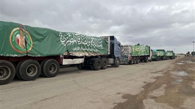 بتوجيهات شيخ الأزهر.. بيت الزكاة يرسل 75 شاحنة لأهالي غزة منذ بدء العدوان