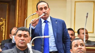 برلماني: مصر تقوم بجهود عظيمة لاستمرار الهدنة في غزة