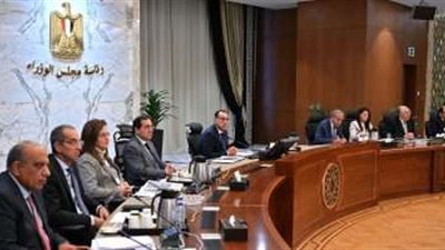 الحكومة تستهدف تنويع محفظة الاحتياطي من النقد الأجنبي وتقليل الضغط على الجنيه